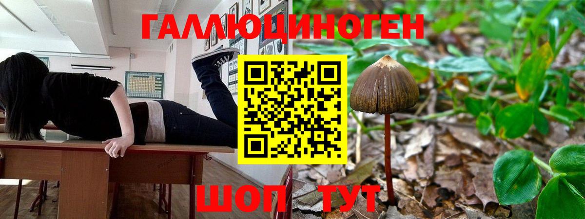 Галлюциногенные грибы Magic Shrooms  Вход с VPN  Набережные Челны 